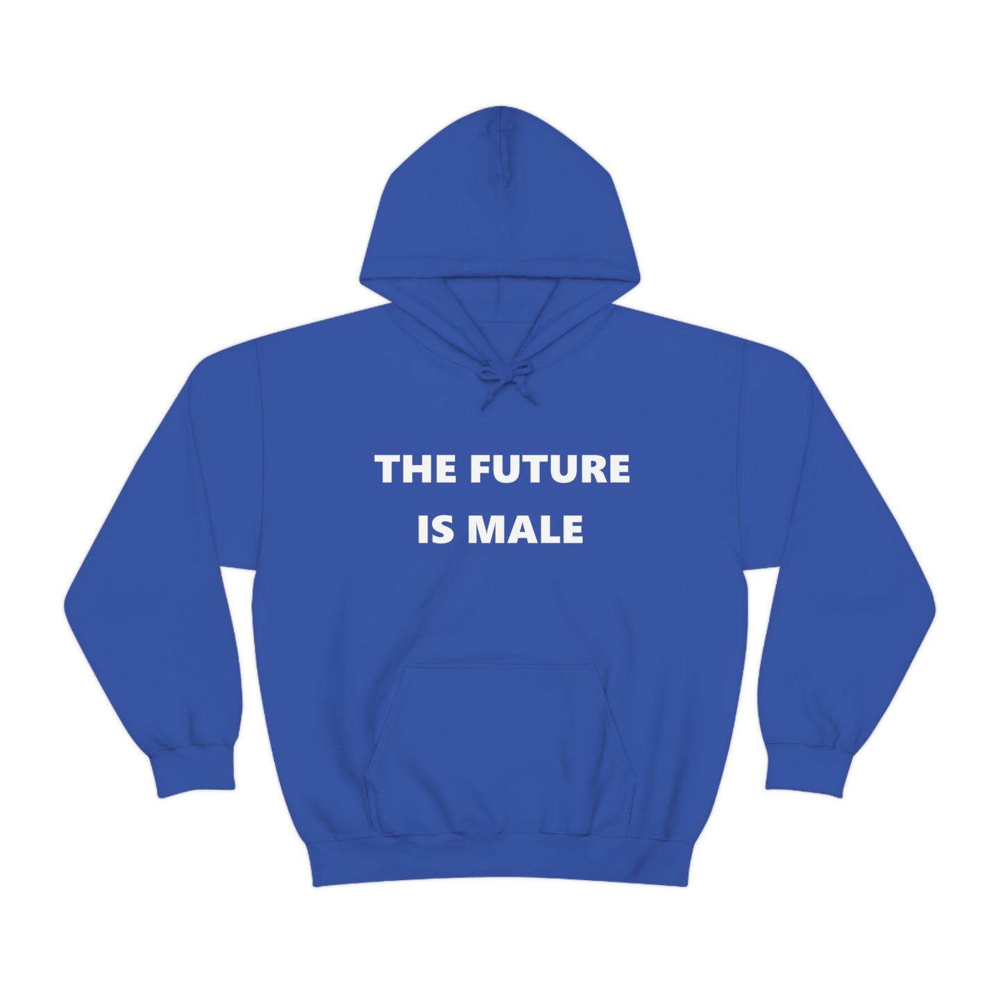 The Future is Male Hoodie