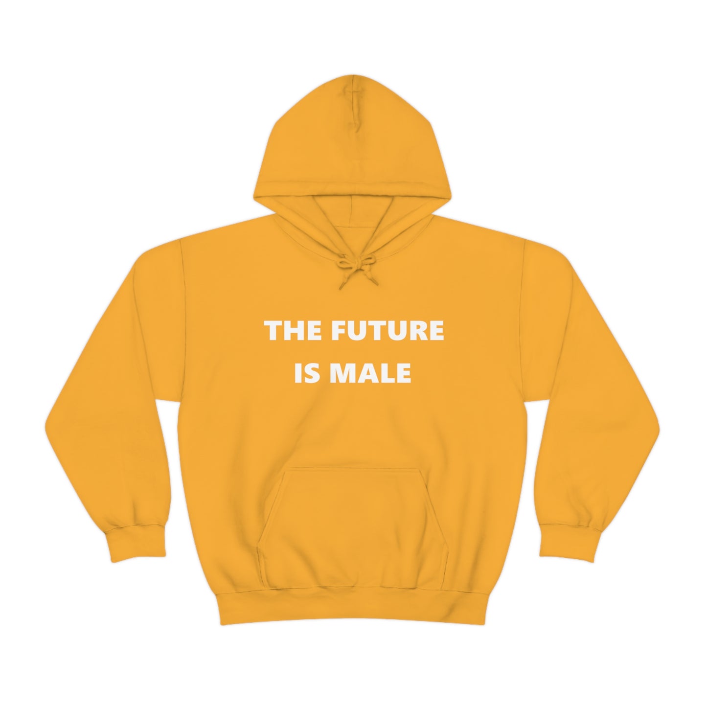 The Future is Male Hoodie