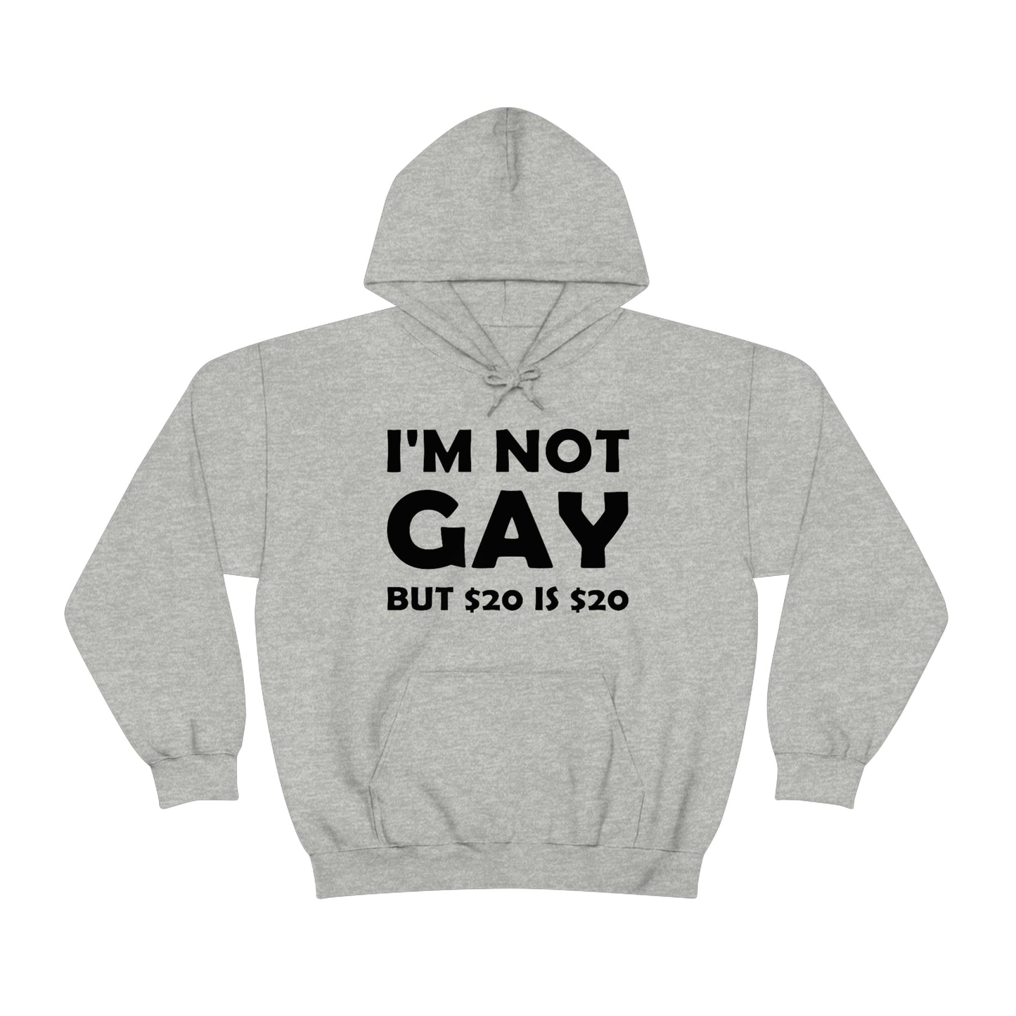 I'm Not Gay Hoodie