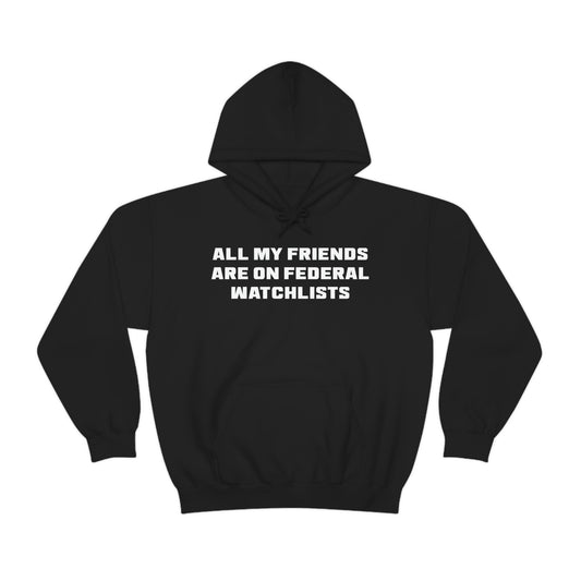 All My Friends Are on Federal Watchlists Hoodie