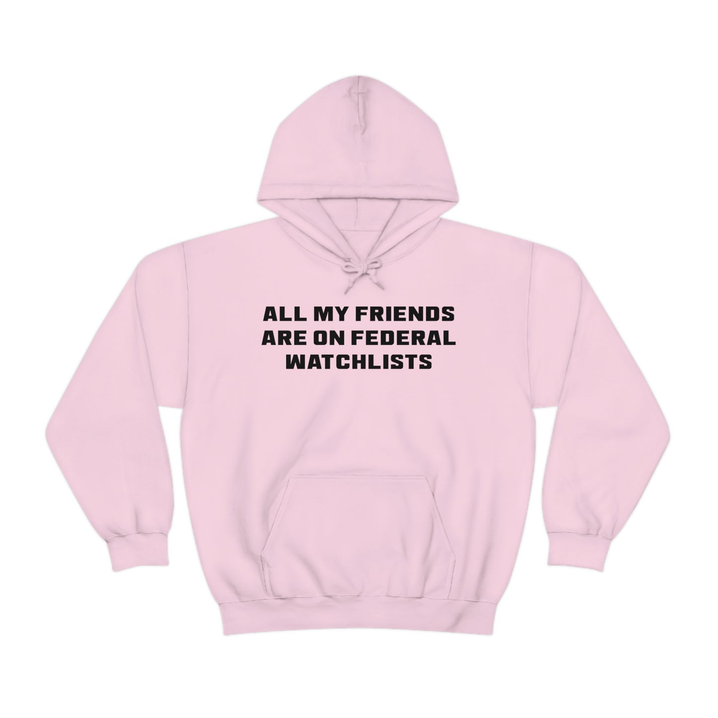 All My Friends Are on Federal Watchlists Hoodie