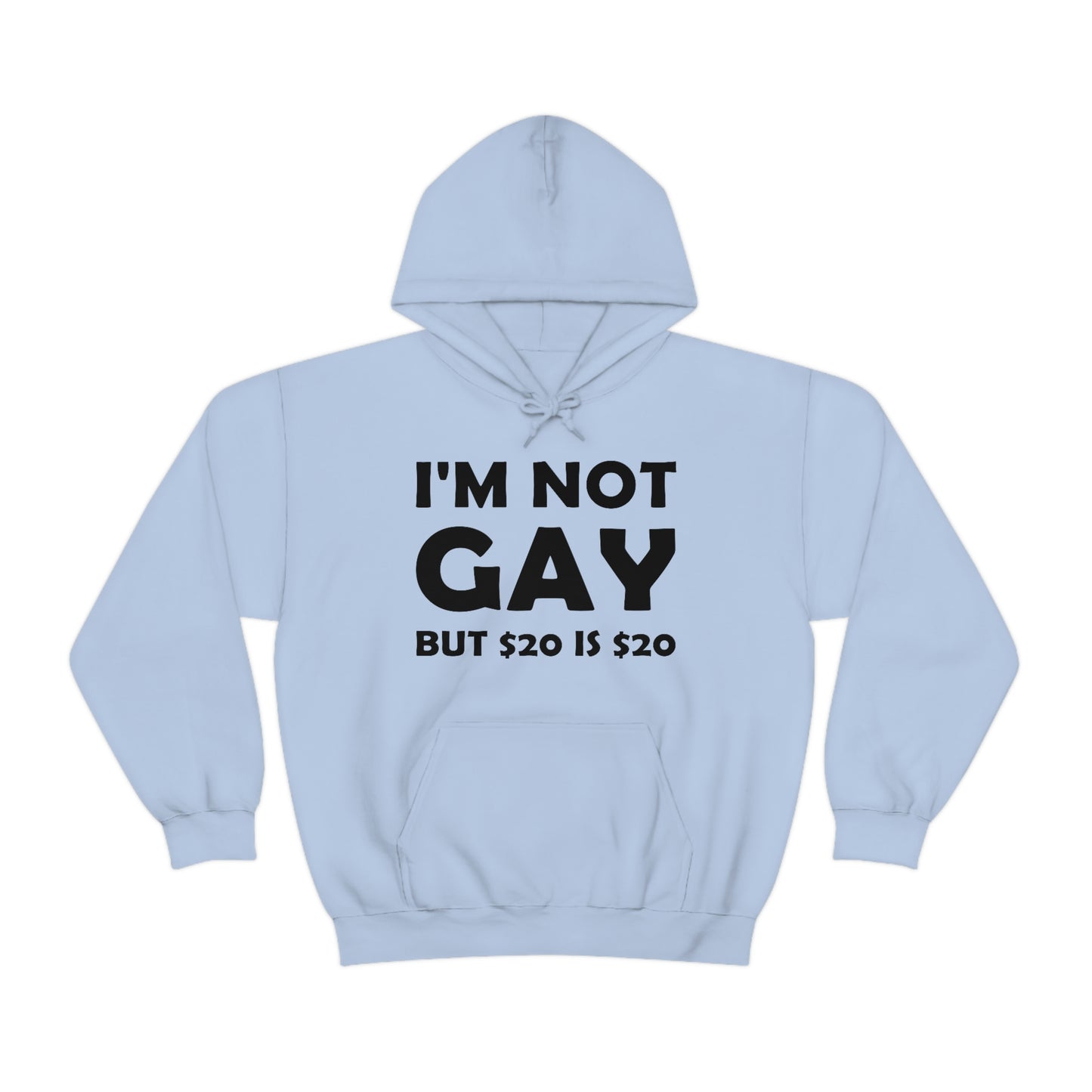 I'm Not Gay Hoodie