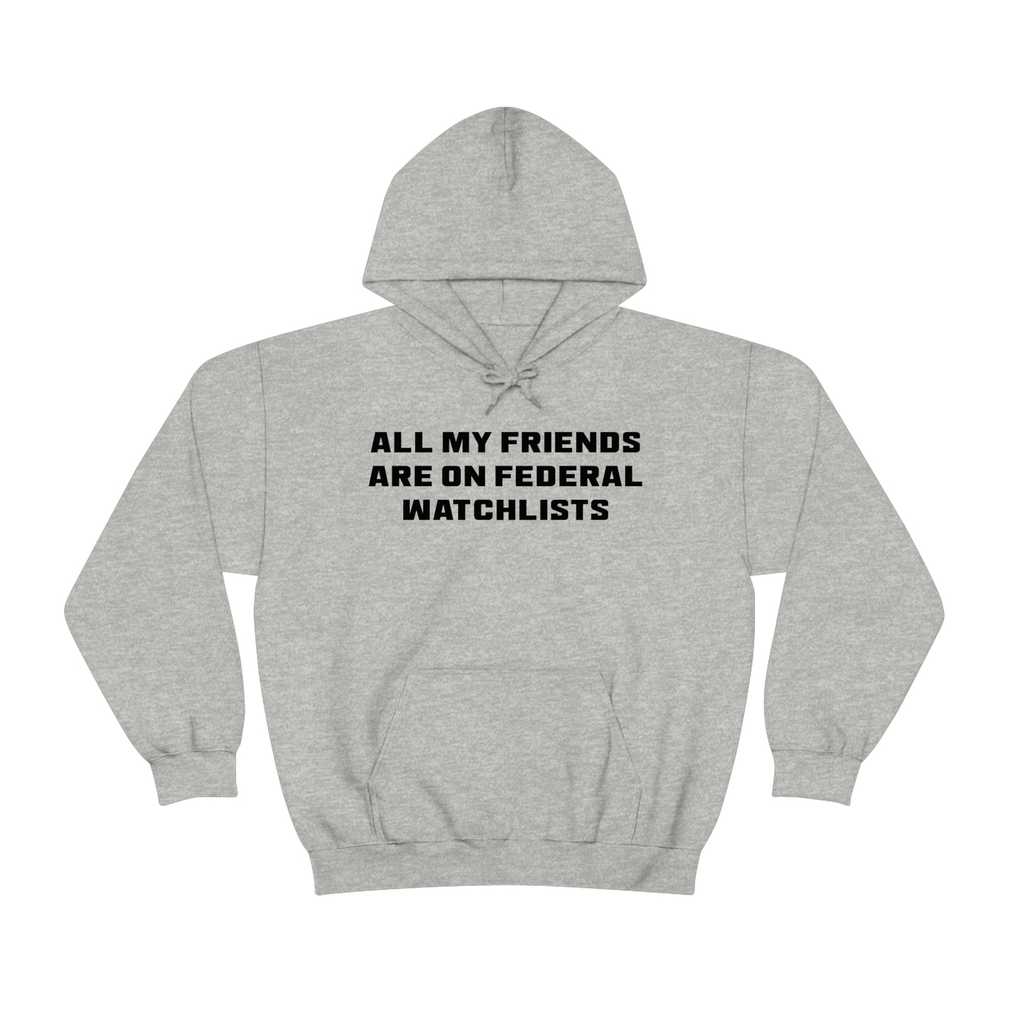 All My Friends Are on Federal Watchlists Hoodie