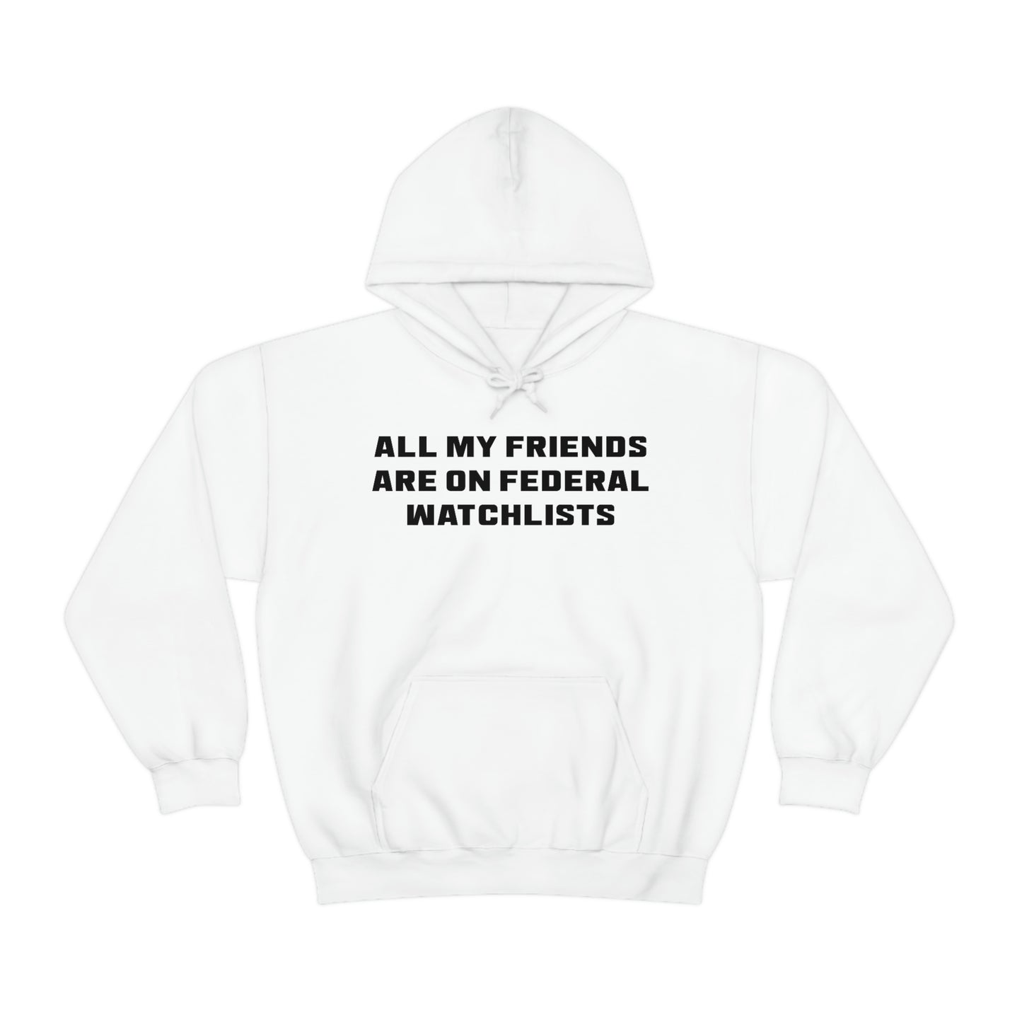 All My Friends Are on Federal Watchlists Hoodie