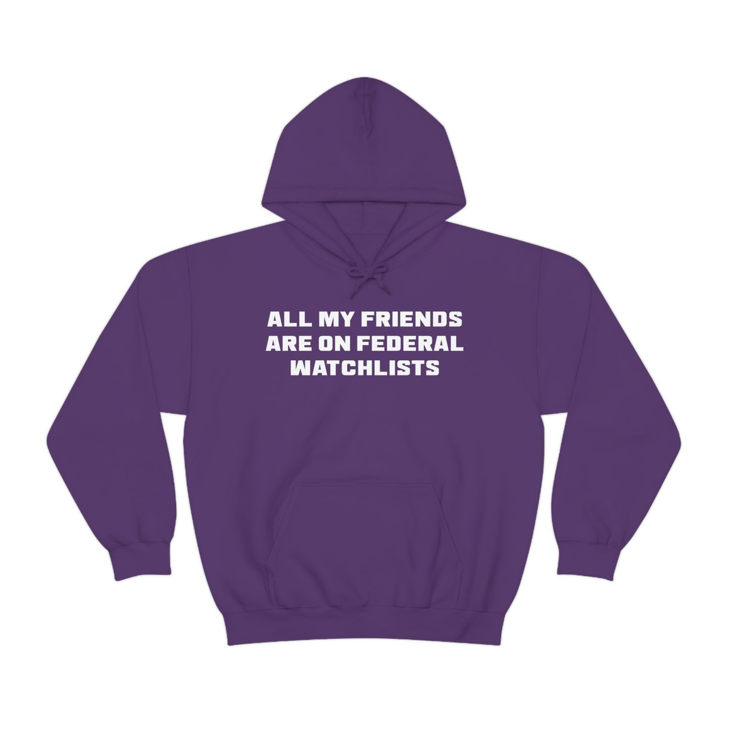 All My Friends Are on Federal Watchlists Hoodie