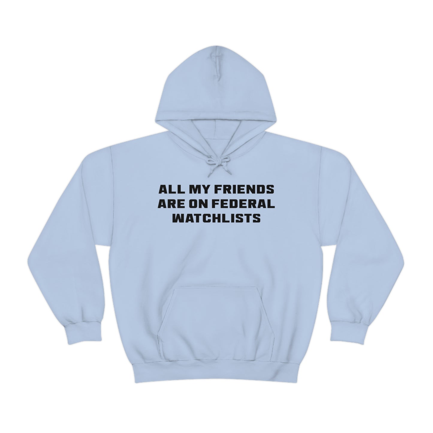 All My Friends Are on Federal Watchlists Hoodie