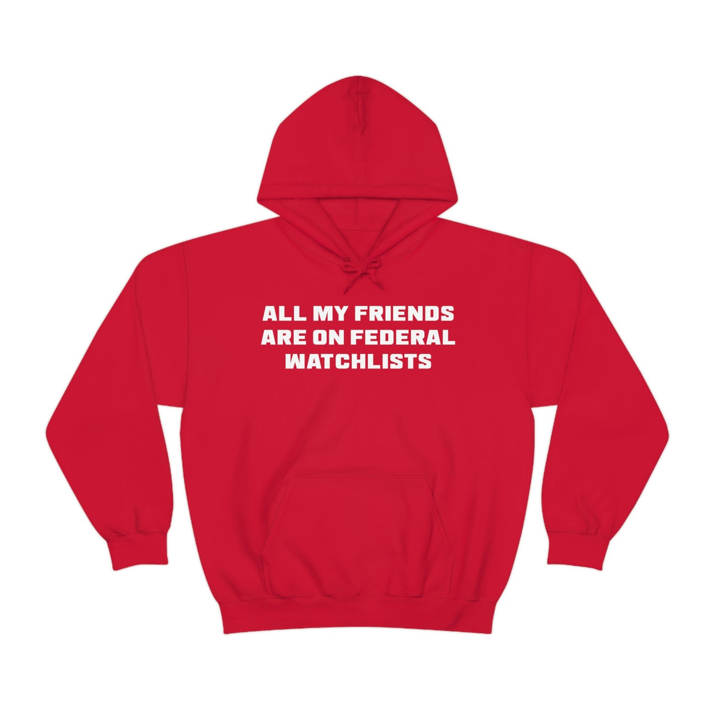 All My Friends Are on Federal Watchlists Hoodie