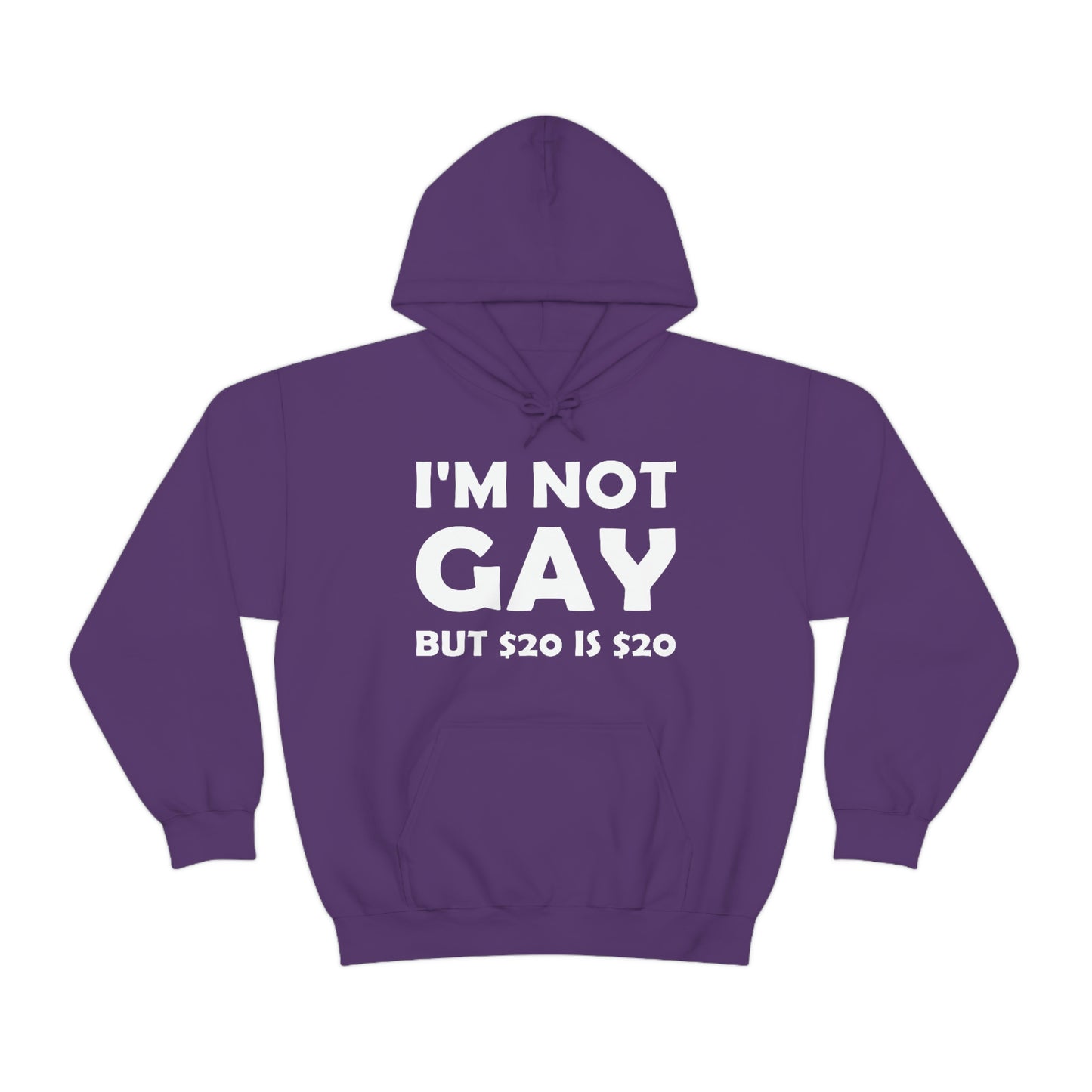 I'm Not Gay Hoodie