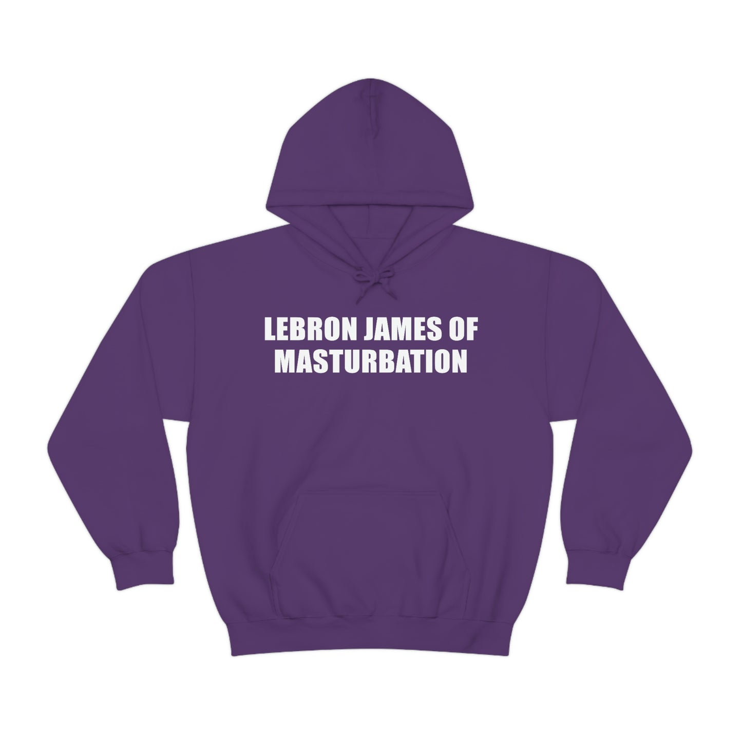 Lebron James of Masturbation Hoodie